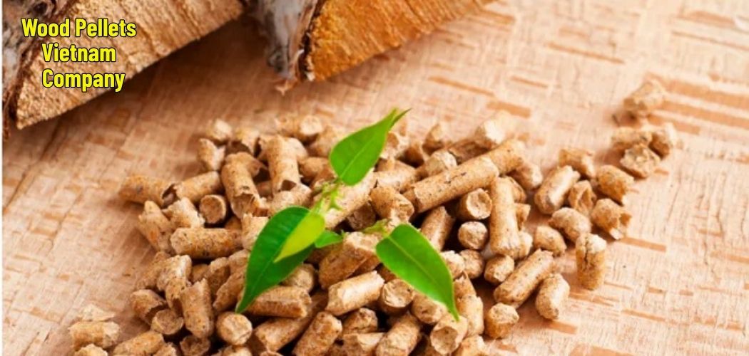 Wood Pellets Vietnam Company 1