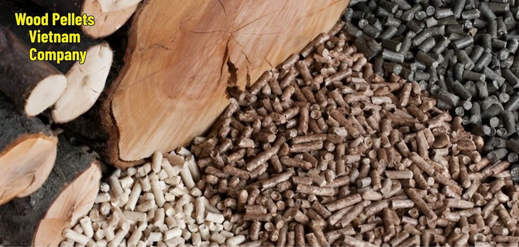 Wood Pellets Vietnam Company 10