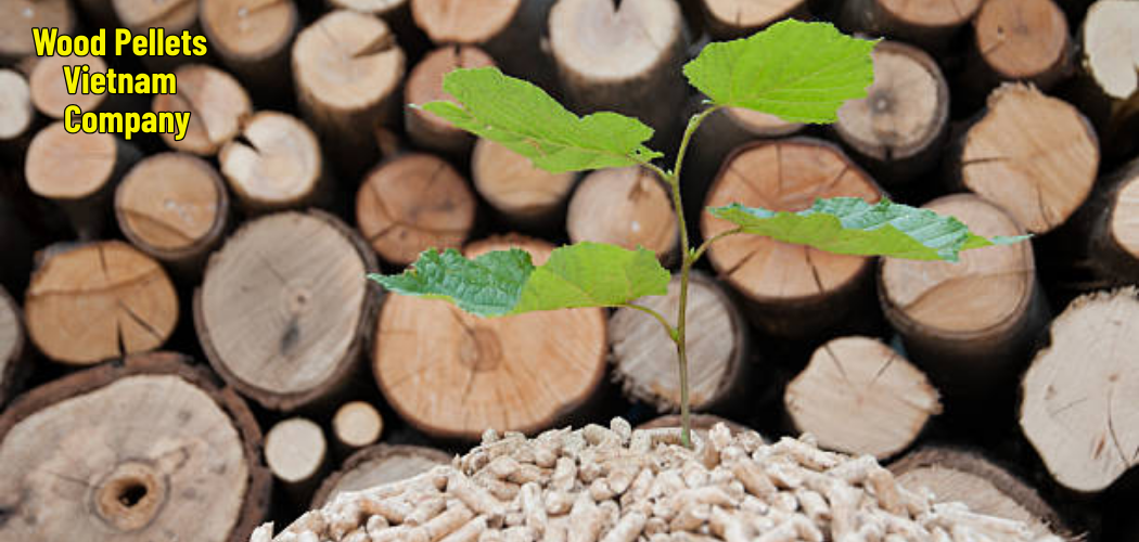 Wood Pellets Vietnam Company 10