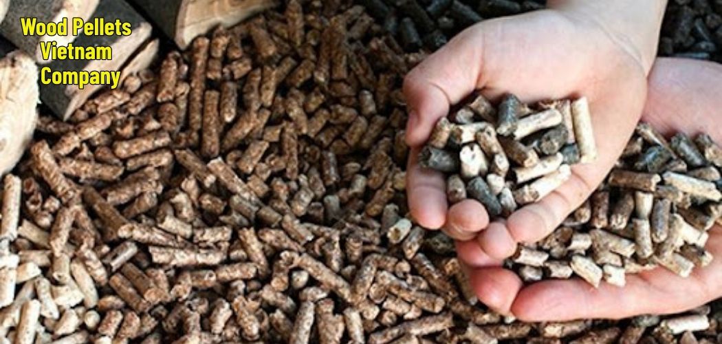 Wood Pellets Vietnam Company 16