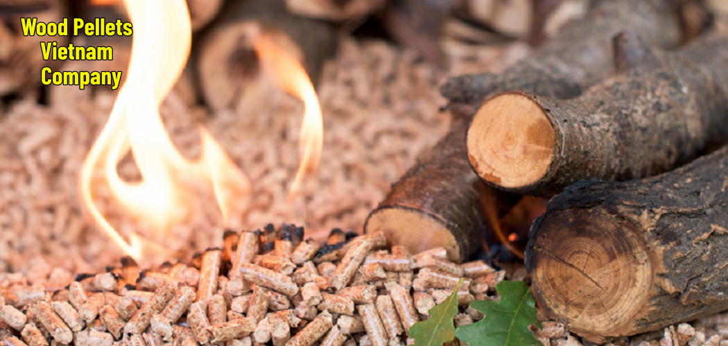 Wood Pellets Vietnam Company 2