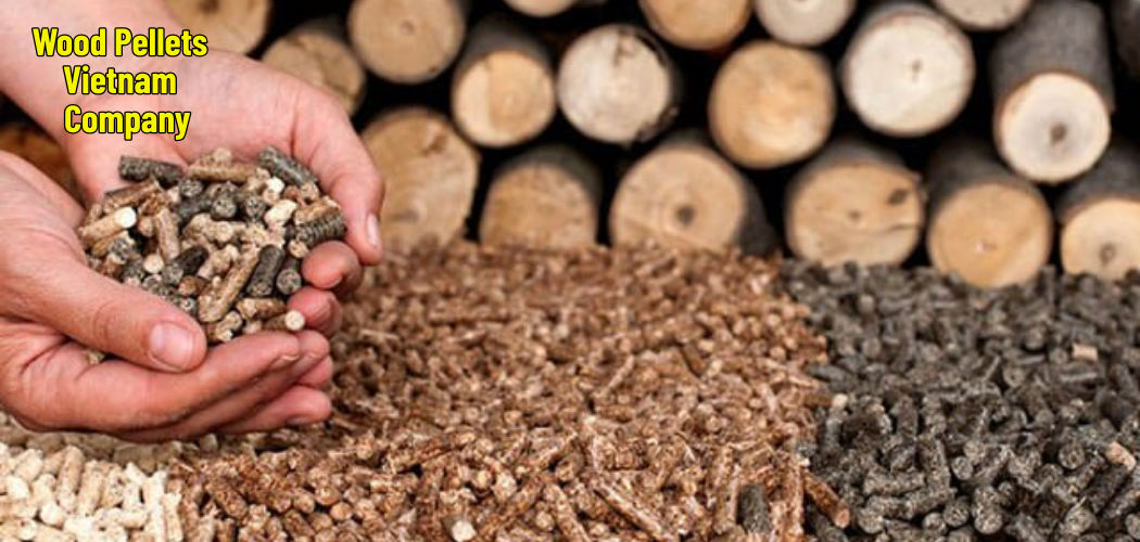 Wood Pellets Vietnam Company 3