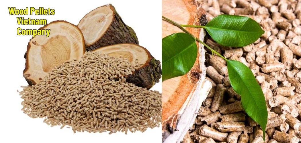 Wood Pellets Vietnam Company 4