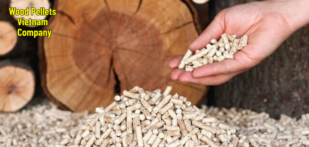 Wood Pellets Vietnam Company 5
