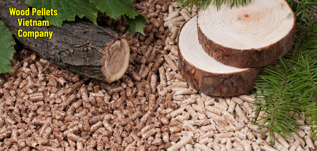 Wood Pellets Vietnam Company 7
