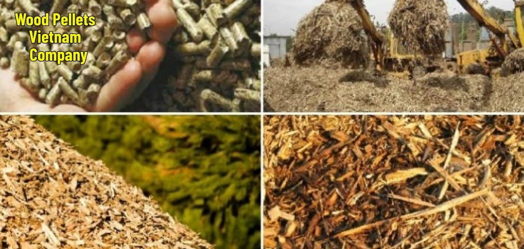 Wood Pellets Vietnam Company 8